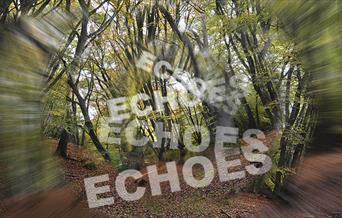 Echoes - a musical experience in Epping Forest