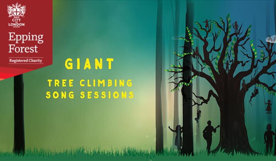 Giant Tree Climbing Song Sessions