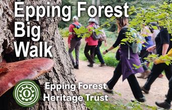 Epping Forest Heritage Trust Big Walk