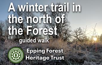 Epping Forest Heritage Trust organised guided winter trail in the north of Epping Forest