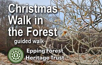 Epping Forest Heritage Trust Christmas Walk in Epping Forest