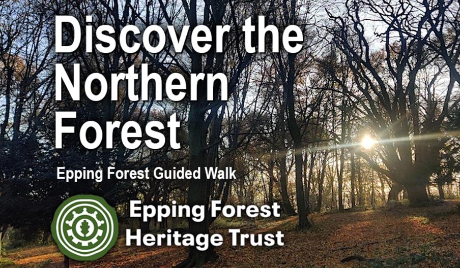 Discover the Northern Forest guided walk with Epping Forest Heritage Trust