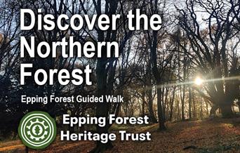 Discover the Northern Forest guided walk with Epping Forest Heritage Trust