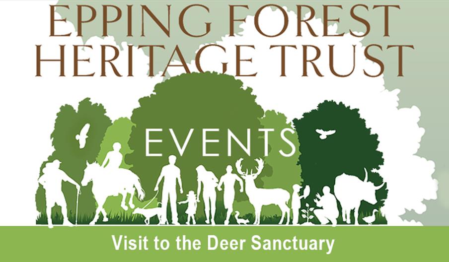 A special opportunity to visit the deer sanctuary in Epping Forest - pre booking required