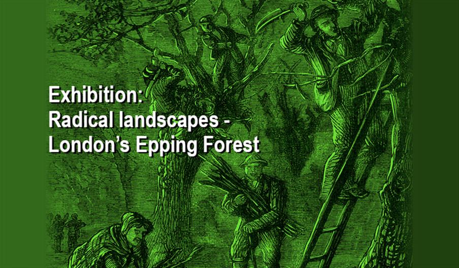 Radical Landscapes, a free exhibition about 200 years of control over Epping Forest at the Chingford Visitor Centre