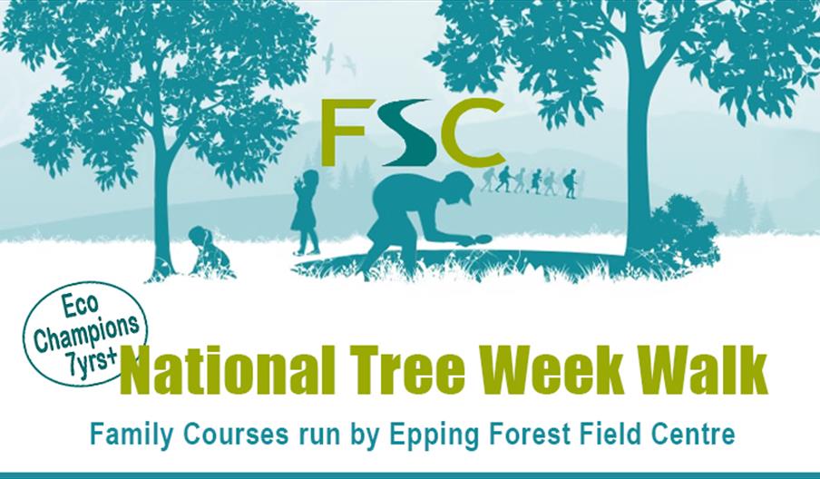 Epping Forest Field Centre National Tree Week Walk in Epping Forest