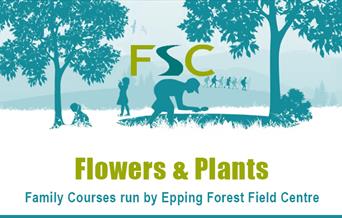 Children can discover all about flowers and plants at the Epping Forest Field Centre