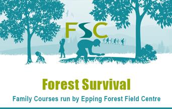 Learn how to survive in the forest at the Epping Forest Field Centre
