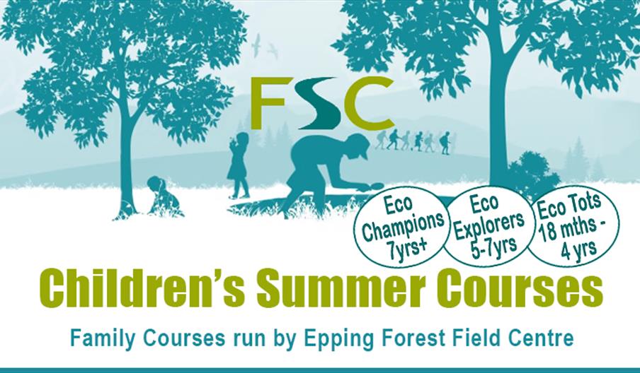 Epping Forest Field Centre Children's Summer Courses in Epping Forest.