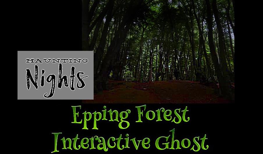 Epping Forest Interactive Ghost Walk