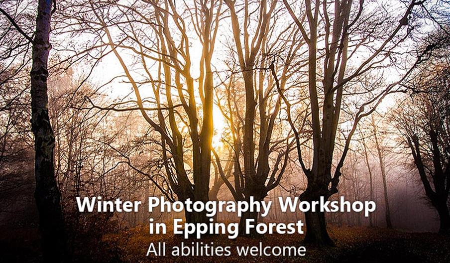 Winter Photography Workshop and walk in Epping Forest