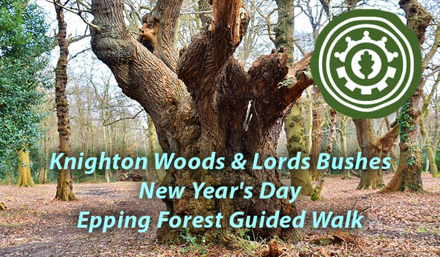 New Year's Day Walk - Discovering Knighton Woods