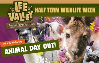 Lee Valley Animal Adventure Park half term Animal Day out 11th to 19th February