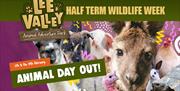Lee Valley Animal Adventure Park half term Animal Day out 11th to 19th February