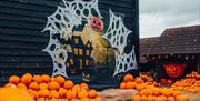 Halloween Festival at Lee Valley Park Farms Animal Adventure Park. Activities and photo opportunities may vary to actual event