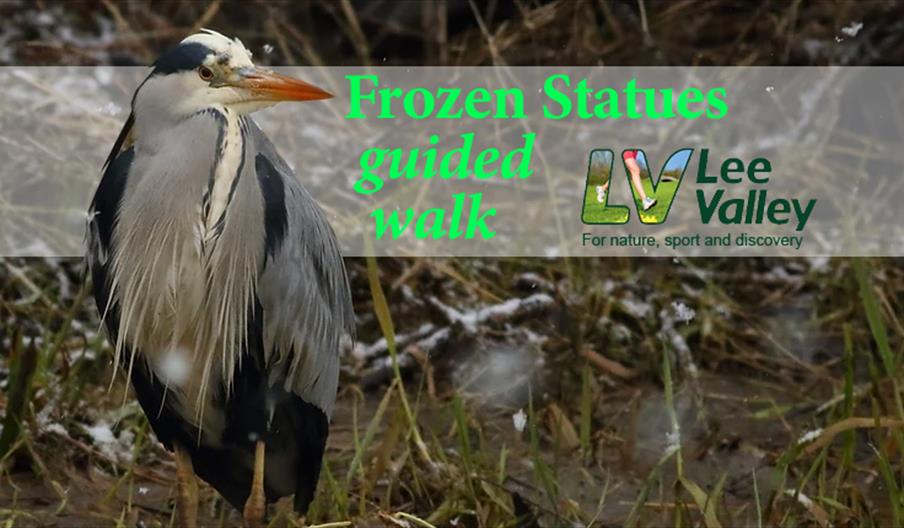 Lee Valley Park wildlife walk - Frozen Statues