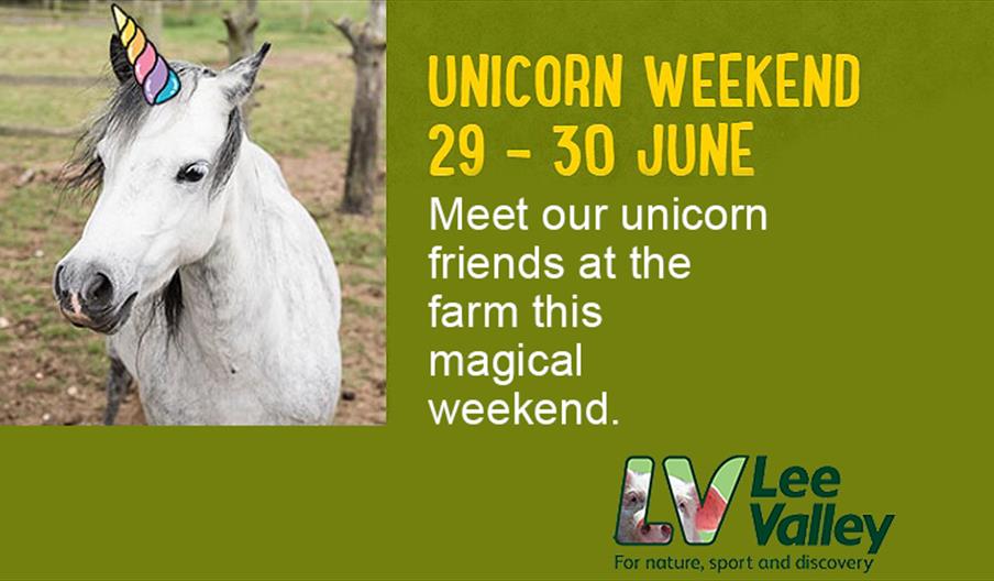 Unicorn Weekend at Lee Valley Park Farms.
