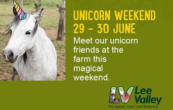 Unicorn Weekend at Lee Valley Park Farms.