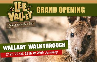 Lee Valley Animal Adventure Park Wallaby Walkthrough and Grand Opening.