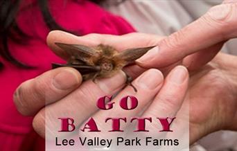 Go Batty at Lee Valley Farms