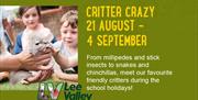 Critter Crazy at Lee Valley Park Farms, Waltham Abbey.