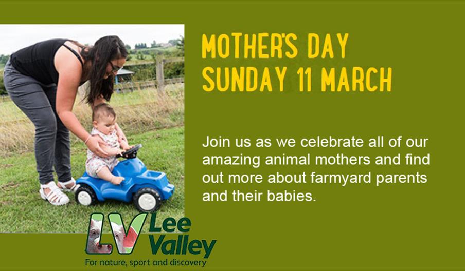 Its Mother's Day at Lee Valley Farms.