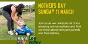 Its Mother's Day at Lee Valley Farms.