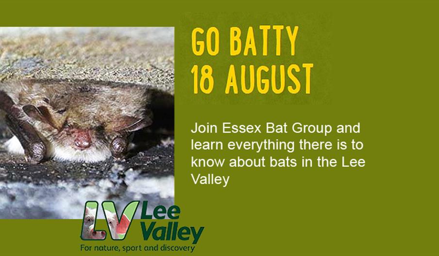 Go Batty at Lee Valley Farms, Waltham Abbey.