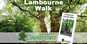The mighty Squire's Oak can be seen on the Lambourne Walk.