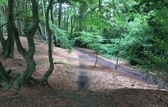 Loughton Camp, an Iron Age hill fort in Epping Forest