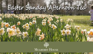 Celebrate Easter Sunday with a special afternoon tea at Mulberry House