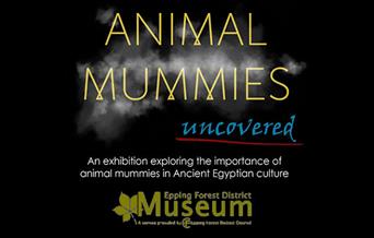 Animal Mummies Uncovered exhibition at the Epping Forest District Museum