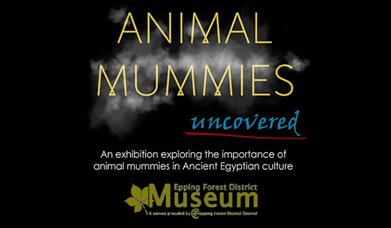 Animal Mummies Uncovered exhibition at the Epping Forest District Museum