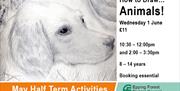 How to draw animals, half-term activity at Epping Forest District Museum