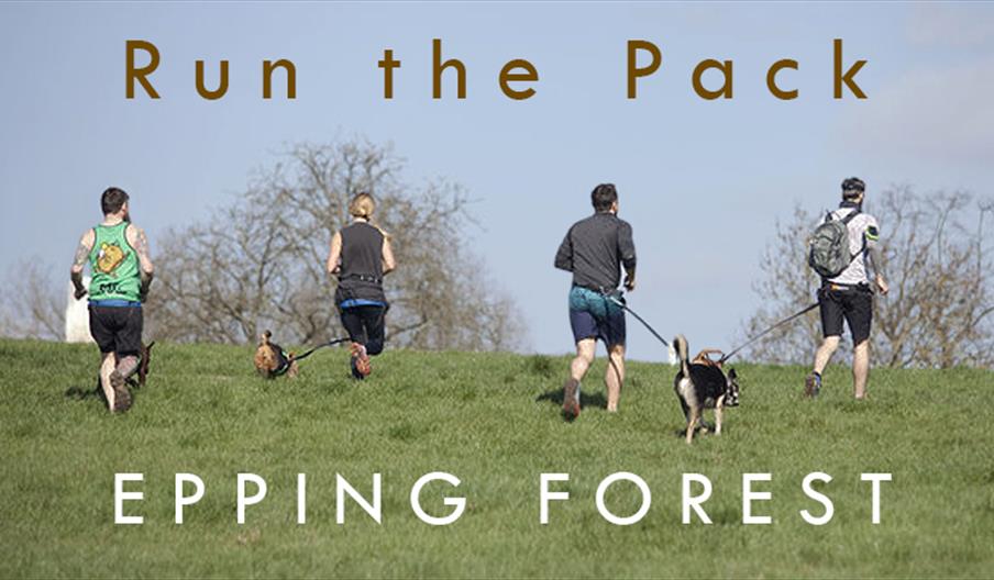 Running with your dog is a fantastic way to keep fit and have fun. Also known as canicross, it's an exciting and fast growing sport.