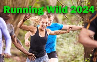 Running Wild 2024