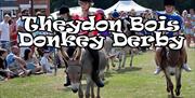 Theydon Bois Donkey Derby