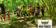 Children 6+ and their families welcome at Wild Forest.