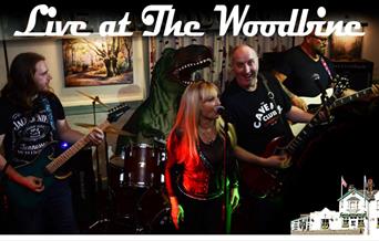 The Rock Dinosaurs, live at The Woodbine Waltham Abbey