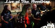 The Rock Dinosaurs, live at The Woodbine Waltham Abbey