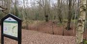 Ambresbury Banks, remains of an Iron Age Fort in Epping Forest, a short walk from Epping