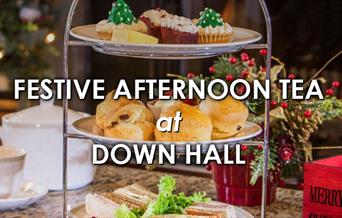 Festive Afternoon Tea at Down Hall
