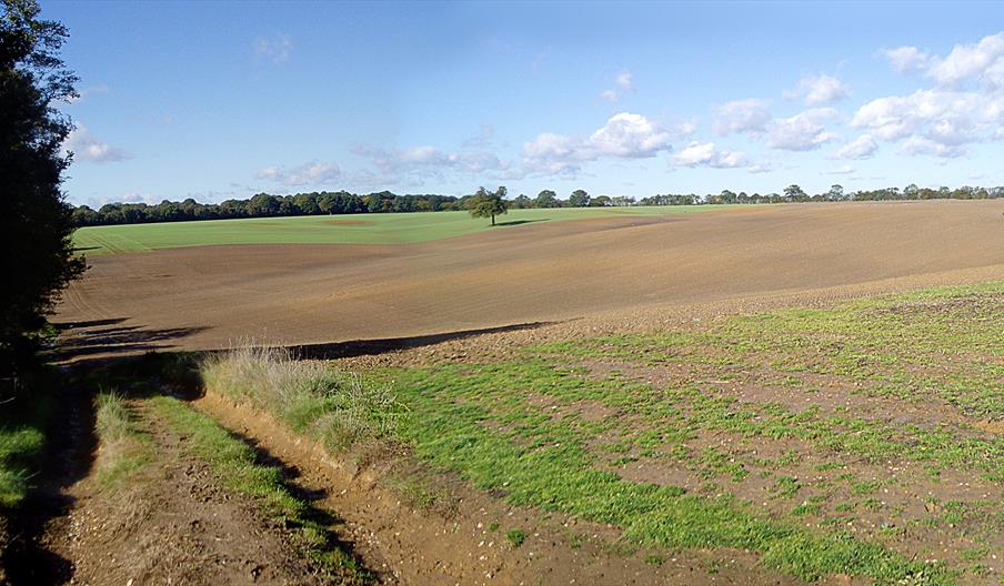 The Essex Way between Coopersale and Toot Hill includes areas emerging from woodland to cross between fields that give spectacular "open sky" views.