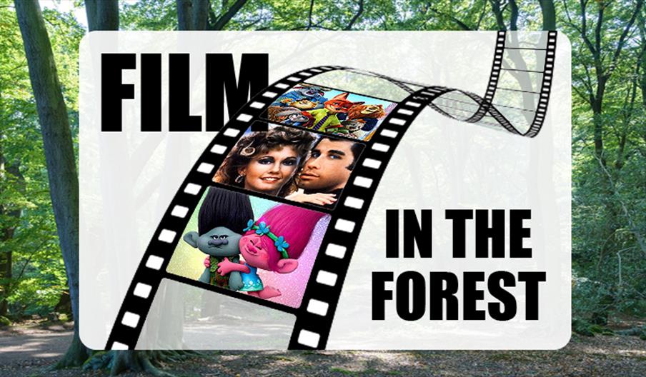 Gilwell Park's Film in the Forest event.