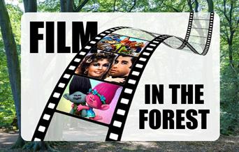 Gilwell Park's Film in the Forest event.