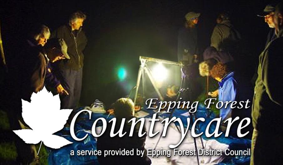 The annual moth trapping evening by Epping Forest  Countrycare.