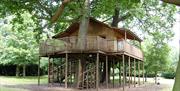 The tree house at De Vere Theobalds Estate.