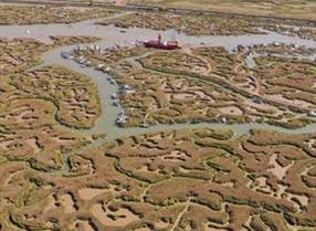 Tollesbury Marshes from the air