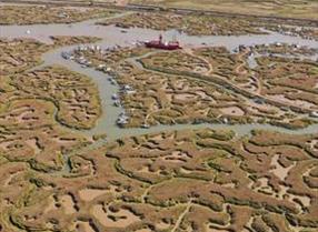 Tollesbury Marshes from the air