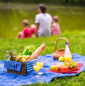 Picnic sites 